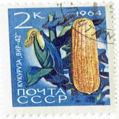 RUSSIA NOYTA CCCP 1964 MAIZE CORPS 2K STAMP WS8