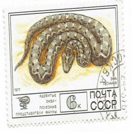 RUSSIAN CCCP 6k ANACONDA SNAKE THEME BIG SIZE  COMMEMORATIVE STAMP WS 03