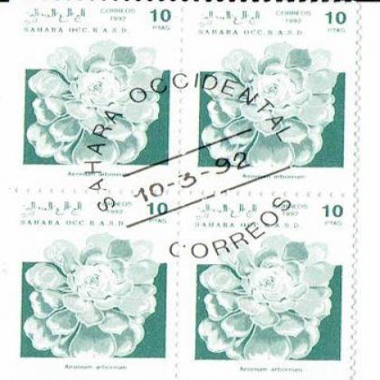 SAHARA 1992 AEONIUM FLOWER  THEME BLOCK OF 4 STAMPS