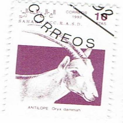 SAHARA 1992 OCC R A S D ANTILOPE  COMMEMORATIVE STAMP WS 7