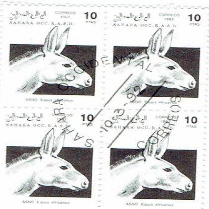 SAHARA 1992 OCC R A S D ASNO HORSE  THEME BLOCK OF 4 STAMPS