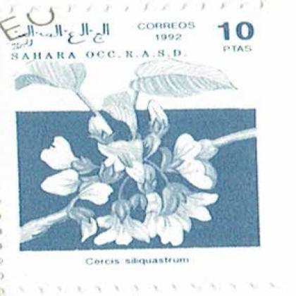 SAHARA 1992 OCC R A S D COMMEMORATIVE STAMP WS 7