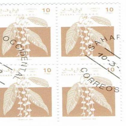 SAHARA 1992 OCC R A S D ILEX FLOWER THEME BLOCK OF 4 STAMPS