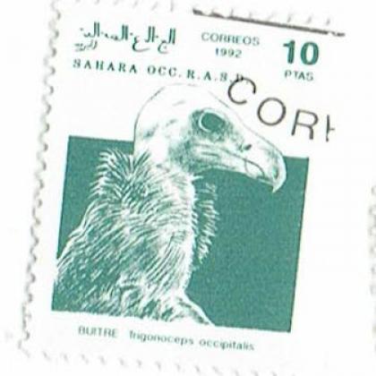 SAHARA OCC R A S D COMMEMORATIVE STAMP WS 6