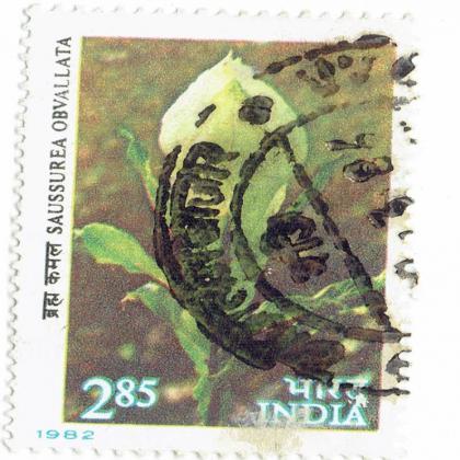 SAUSSUREA OBVALATA FLOWER COMMEMORATIVE STAMP CSB7