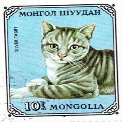 SILVER TABBY CAT COMMEMORATIVE STAMP WS 5