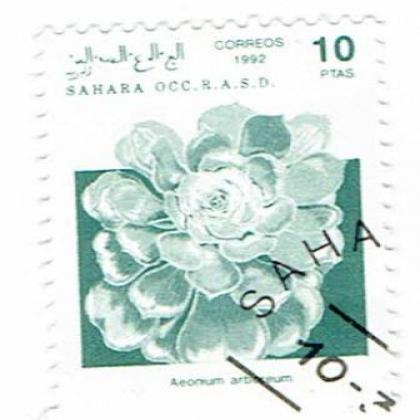SPAIN 10 PTAS SAHARA FLOWER COMMEMORATIVE STAMP WS 07