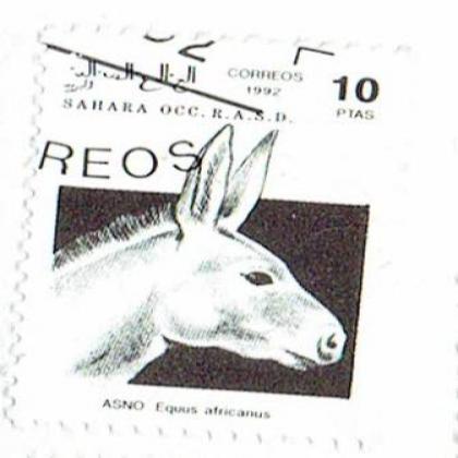 SPAIN 10 PTAS SAHARA HORSE COMMEMORATIVE STAMP WS 06