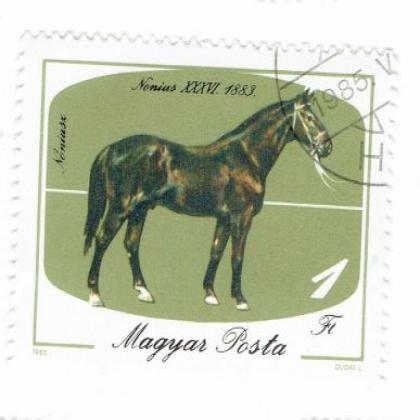 STANDING HORSE 1Ft COMMEMORATIVE STAMP WS2