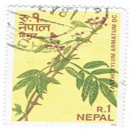 ZANTHOXYLUM TREE COMMEMORATIVE STAMP WS 5